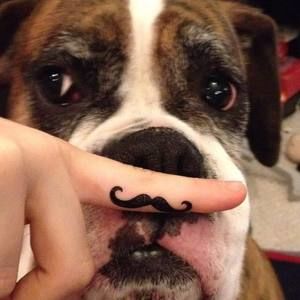 Meet your Posher, Gina